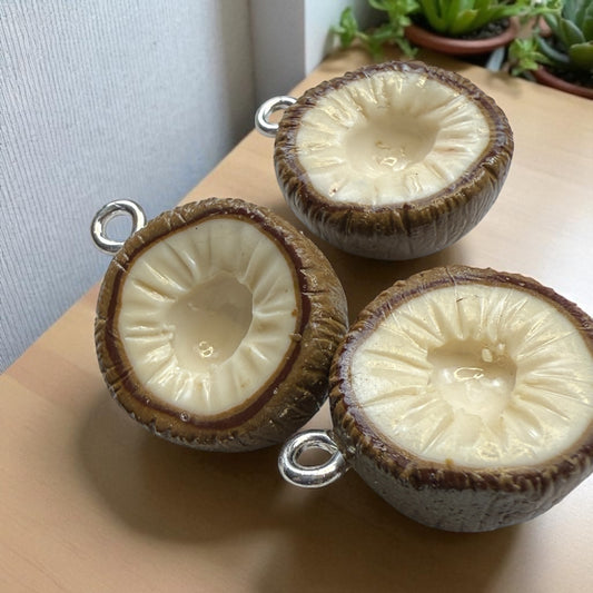 Cute Coconut Charms